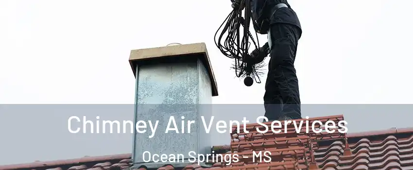 Chimney Air Vent Services Ocean Springs - MS