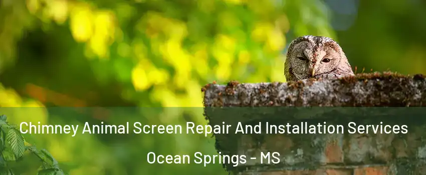  Chimney Animal Screen Repair And Installation Services Ocean Springs - MS