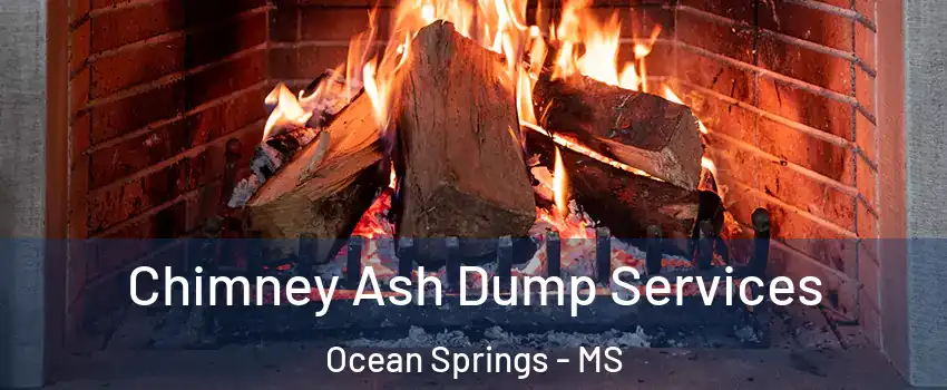 Chimney Ash Dump Services Ocean Springs - MS