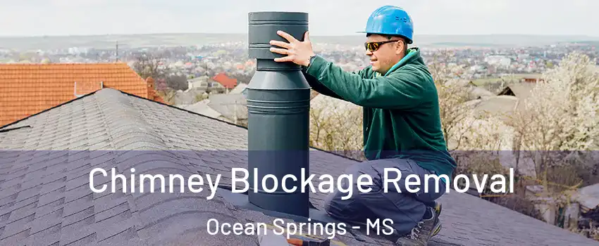  Chimney Blockage Removal Ocean Springs - MS