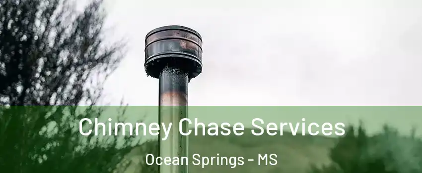 Chimney Chase Services Ocean Springs - MS
