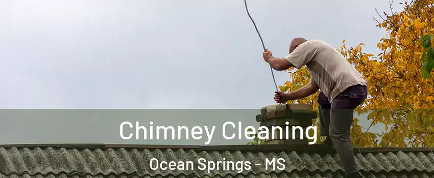  Chimney Cleaning Ocean Springs - MS