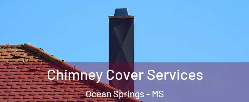 Chimney Cover Services Ocean Springs - MS