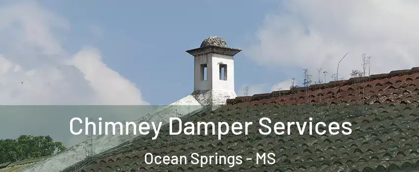  Chimney Damper Services Ocean Springs - MS
