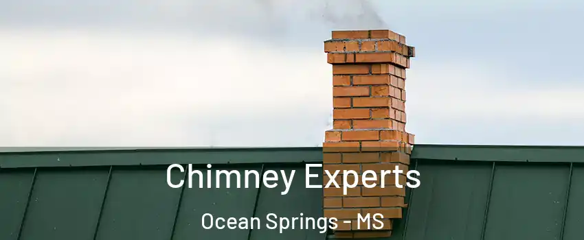  Chimney Experts Ocean Springs - MS