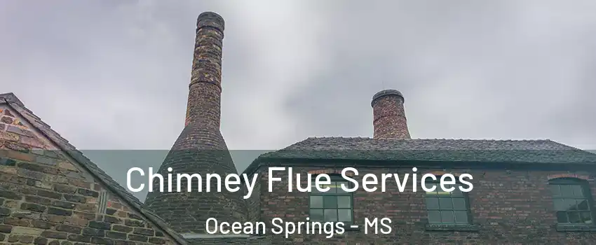  Chimney Flue Services Ocean Springs - MS