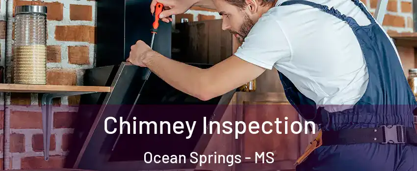  Chimney Inspection Ocean Springs - MS