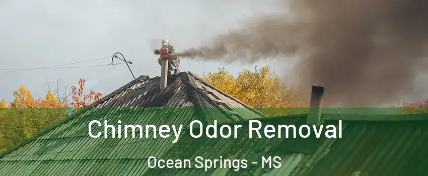  Chimney Odor Removal Ocean Springs - MS