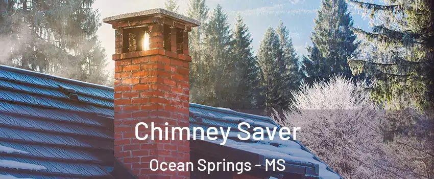  Chimney Saver Ocean Springs - MS