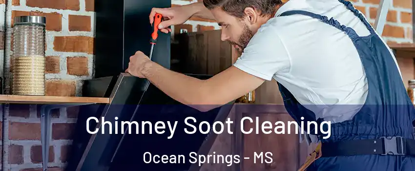  Chimney Soot Cleaning Ocean Springs - MS