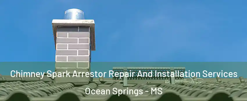  Chimney Spark Arrestor Repair And Installation Services Ocean Springs - MS