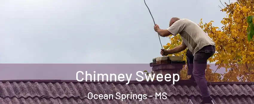  Chimney Sweep Ocean Springs - MS