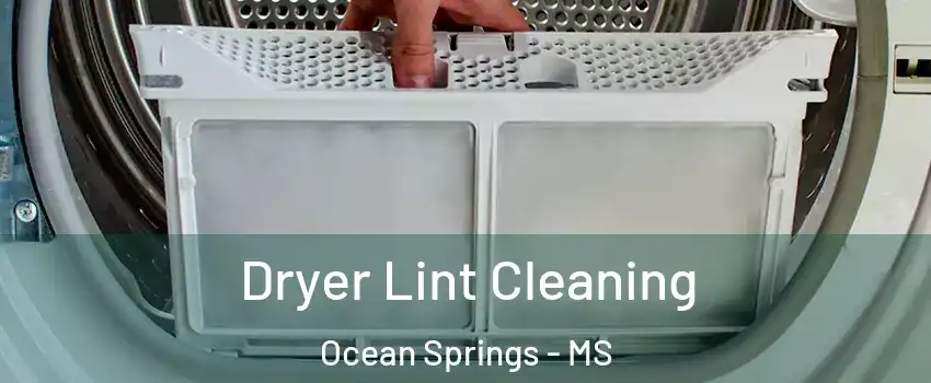  Dryer Lint Cleaning Ocean Springs - MS