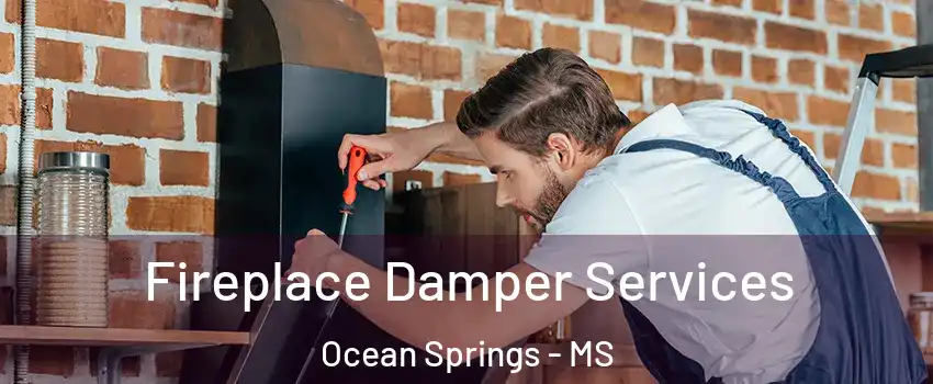  Fireplace Damper Services Ocean Springs - MS