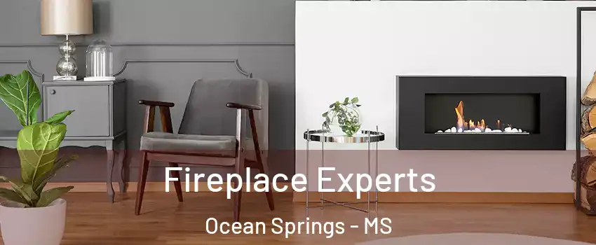  Fireplace Experts Ocean Springs - MS