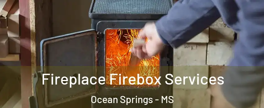  Fireplace Firebox Services Ocean Springs - MS