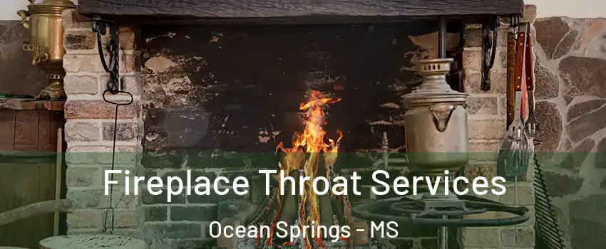  Fireplace Throat Services Ocean Springs - MS