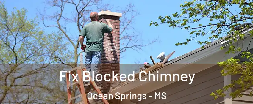  Fix Blocked Chimney Ocean Springs - MS