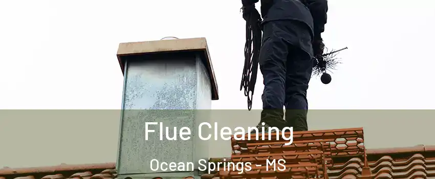  Flue Cleaning Ocean Springs - MS