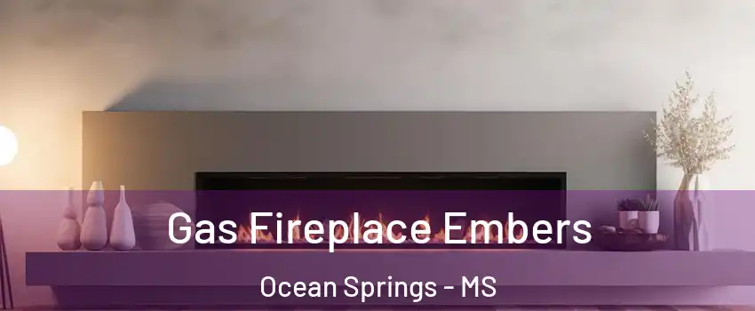  Gas Fireplace Embers Ocean Springs - MS