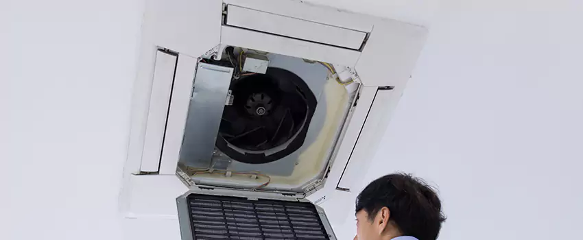 Benefits of Professional Air Duct Cleaning in Ocean Springs, Mississippi