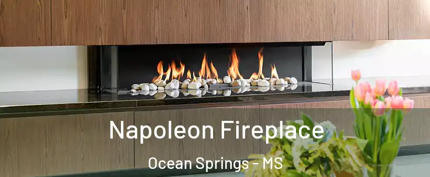  Napoleon Fireplace Ocean Springs - MS