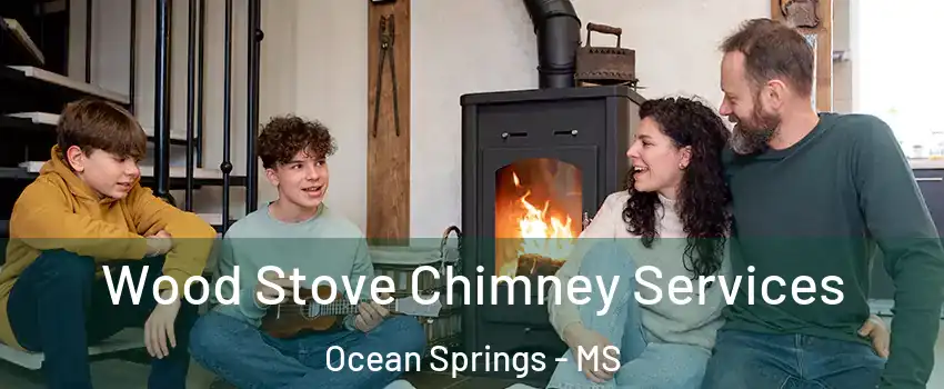 Wood Stove Chimney Services Ocean Springs - MS